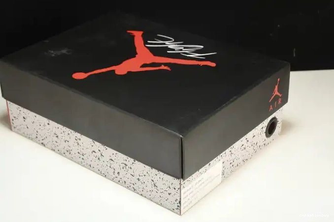 Jordan Ducks 257-255275 Retro 4 Oregon Duckman 0706